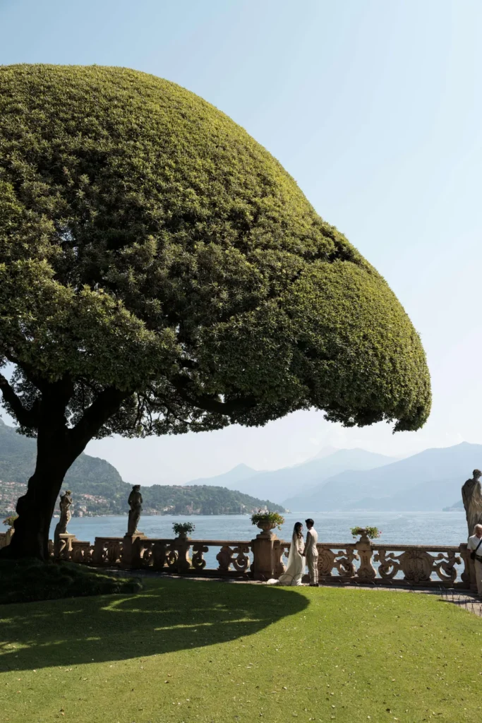 Couple beneath the sculpted plane tree on the lawn of Villa del Balbianello